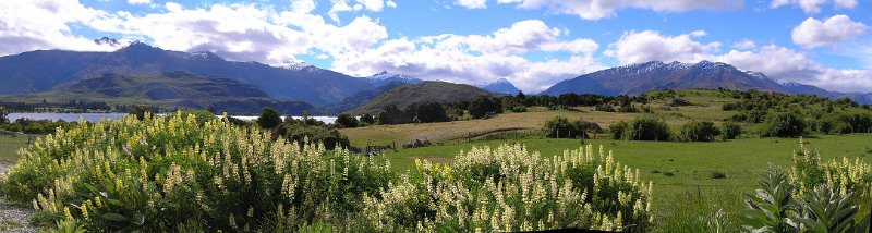 24 (37) Mount Aspiring viewpoint.jpg